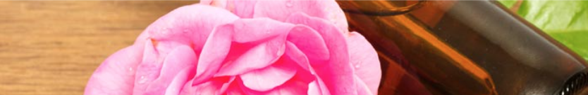WX20210608-165631.png