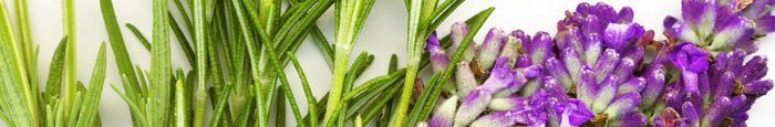 clary-sage.jpg